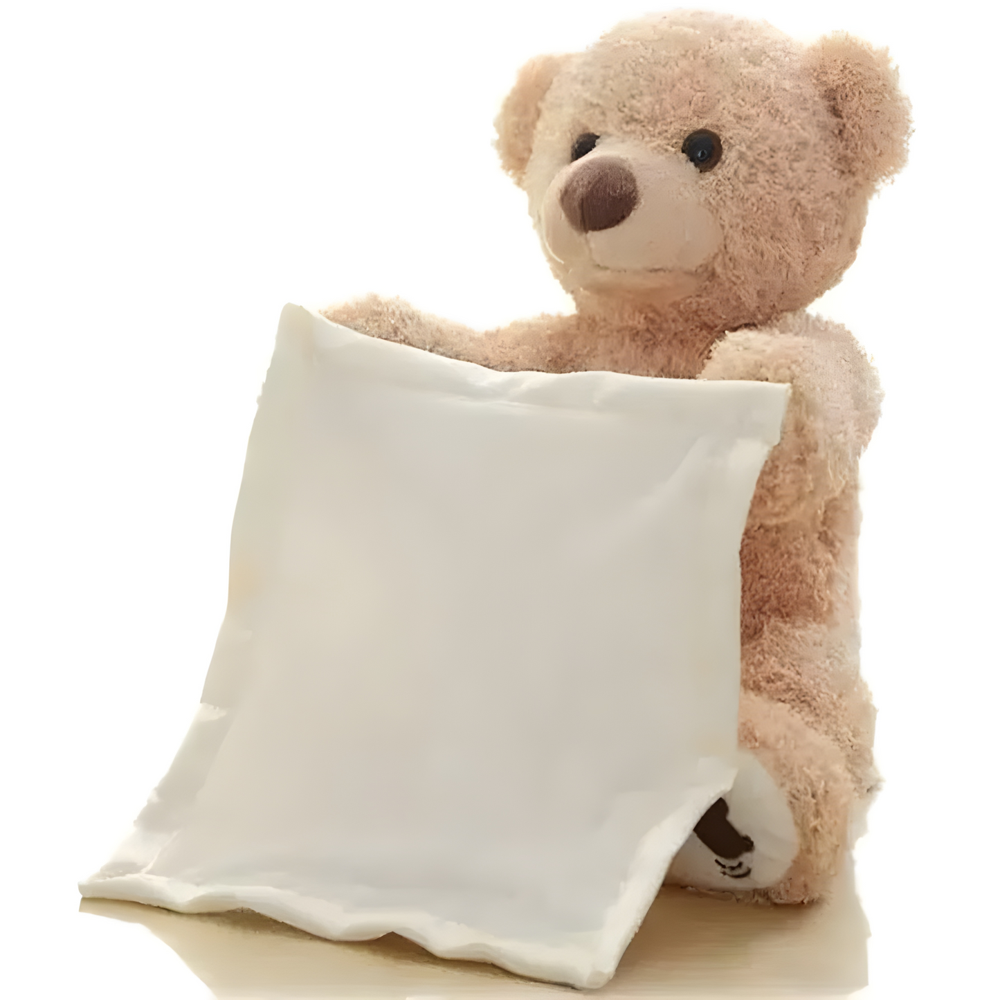 Kids Kingdom™ Peekaboo Teddy Bear