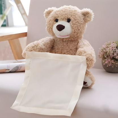 Kids Kingdom™ Peekaboo Teddy Bear