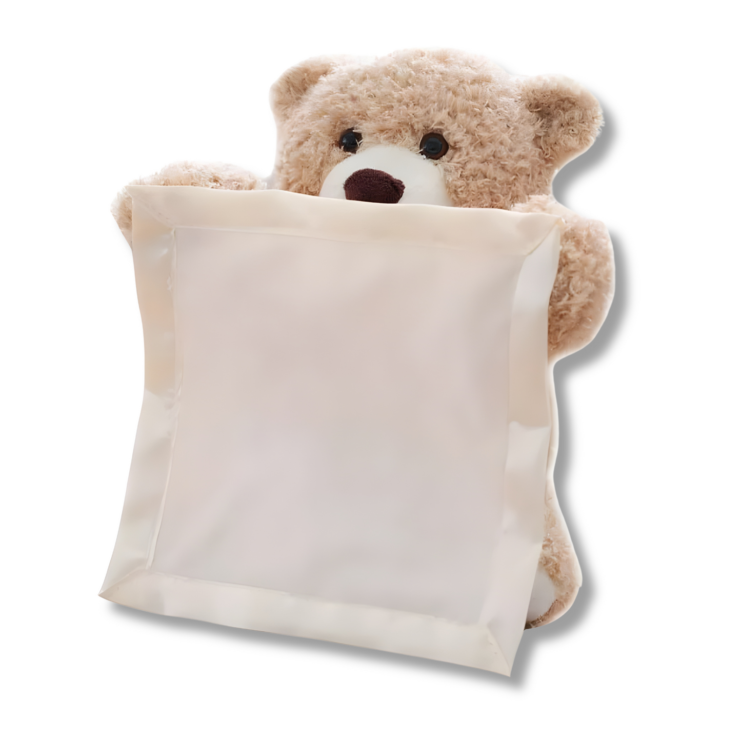 Kids Kingdom™ Peekaboo Teddy Bear