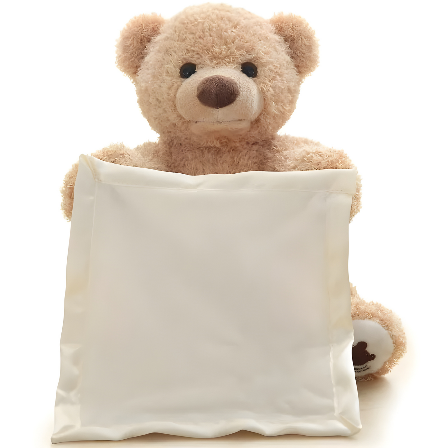 Kids Kingdom™ Peekaboo Teddy Bear