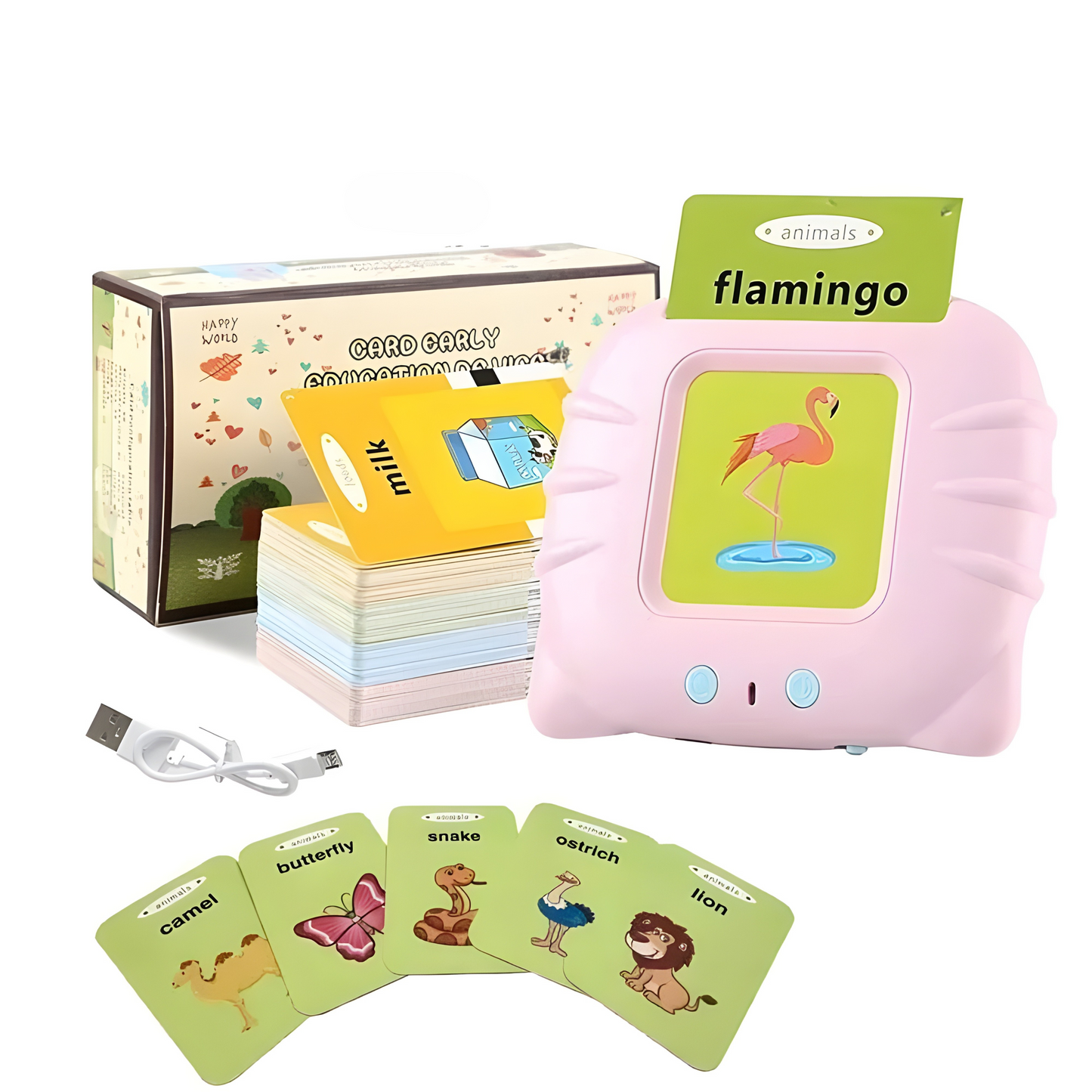 Kids Kingdom™ Listen & Learn Flashcards
