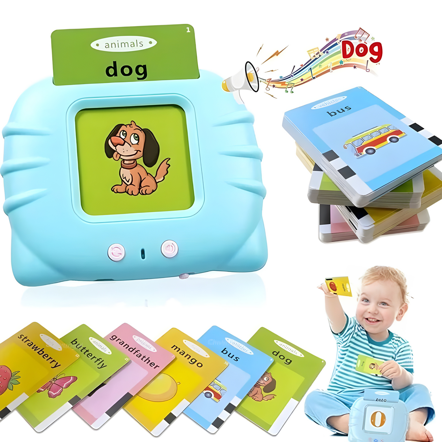 Kids Kingdom™ Listen & Learn Flashcards